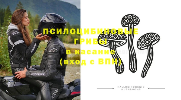 тгк Михайлов