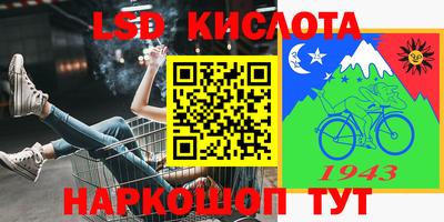 стафф Донской