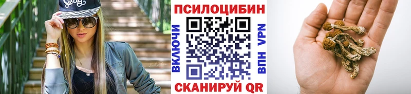 kraken онион  Новошахтинск  Галлюциногенные грибы Psilocybine cubensis 