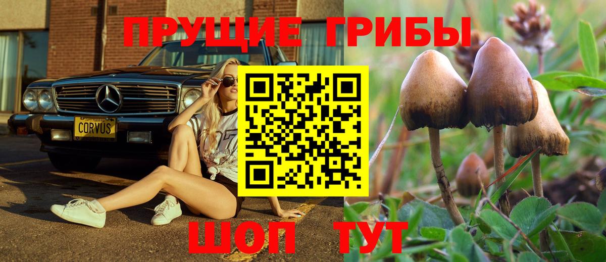 Галлюциногенные грибы мицелий Новошахтинск