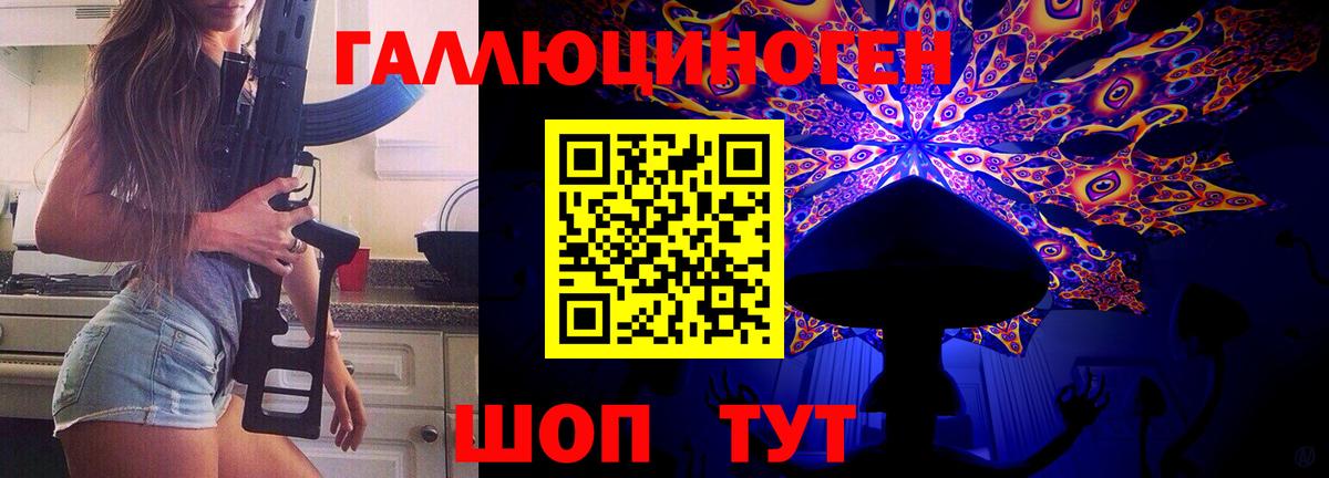 Псилоцибиновые грибы Psilocybe  Вход с VPN  Новошахтинск 